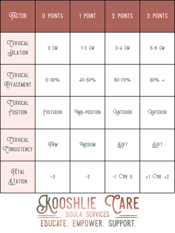 Bishop Score Chart