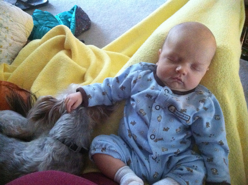 Bruce and Elwood