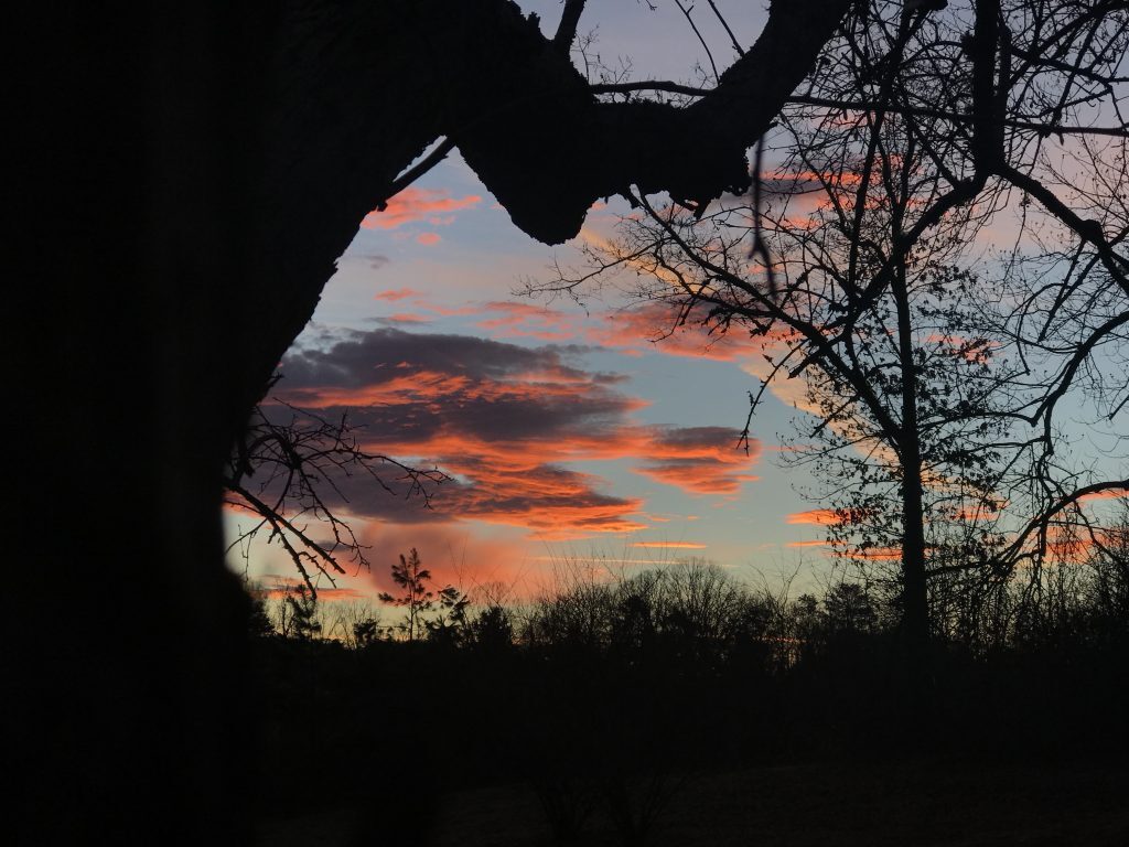 Sunrise